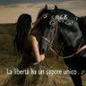 Sandra Serra's profile picture