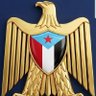 نصر الجنوب profil fotoğrafı
