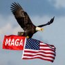 JR ny's profile picture