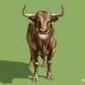 Фото профиля Torito Ibérico