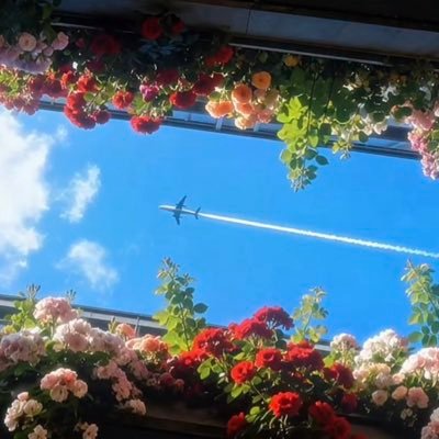 quynhpham991221's profile picture