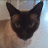 Profilbild von Tweety_Bird