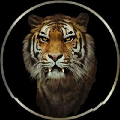 💛🖤🐋 Moandbhr 🌊💛🖤's profile picture