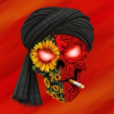 The_फनisher☠️'s profile picture