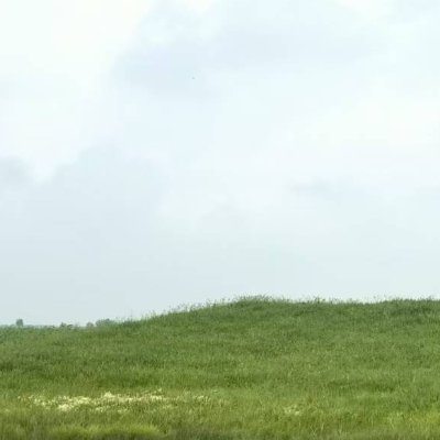 shenhou_bj1's profile picture