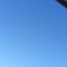 nollina 的头像