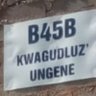 Mr Gudluz'ungene's profile picture