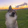 llzll profil fotoğrafı