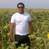 Profilbild von efren perozo