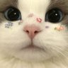 Profilbild von Fine Jia
