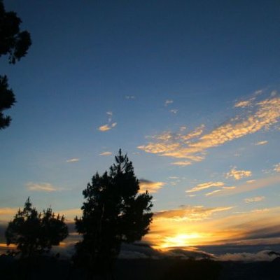 kumpulan orang asbun's profile picture