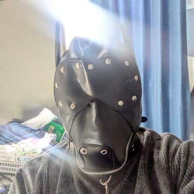 UraKerry's profile picture