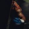 Hidden identity's profile picture