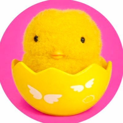 둘기's profile picture
