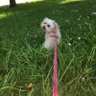 Carmen's profile picture