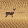 العنودد's profile picture