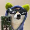 Profilbild von Xinkule