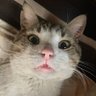 Ax's profile picture