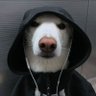 Profilbild von wru