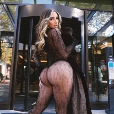 animalenaction's profile picture