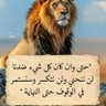 محمد التميمي 的头像