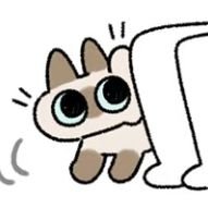 ZhaoXi_'s profile picture