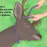 DeerintheSpedLight's profile picture