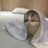 FurryUnion's profile picture