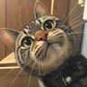 チュン@喪中 profil fotoğrafı
