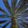 Фото профиля FloridaFreeGirl