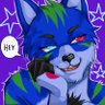 Raf Borgars's profile picture