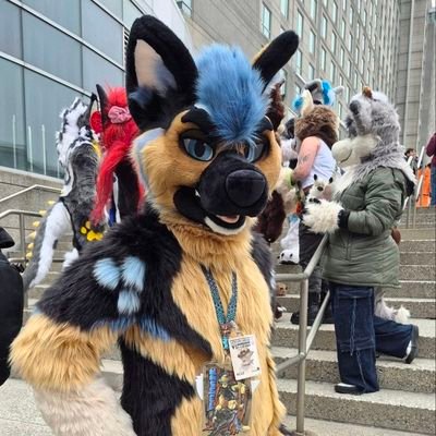 Kassel Shep's profile picture
