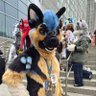 Kassel Shep 的头像