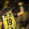 Rodri's profile picture