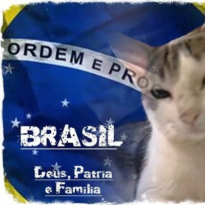 Letícia's profile picture