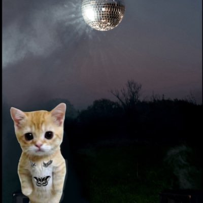 harrystylzluver's profile picture