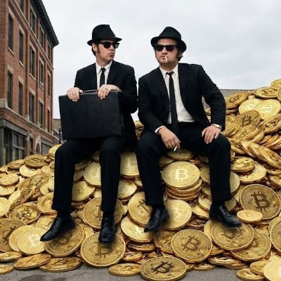 Mr. BTC fomo's profile picture