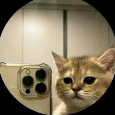 fearlessfly001's profile picture