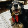 Lety profil fotoğrafı