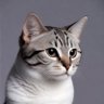 思考中の猫's profile picture