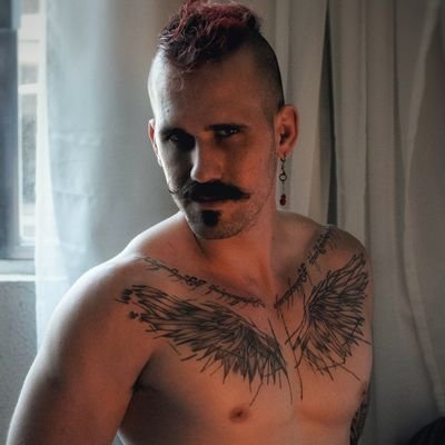 wolfgangwolfy_'s profile picture