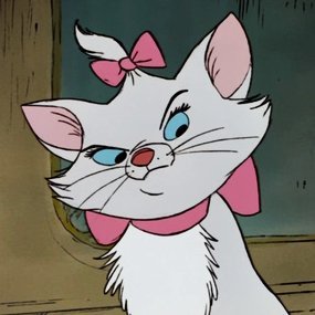 miausibella 🎀🇦🇷's profile picture