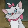 Profilbild von miausibella 🎀🇦🇷