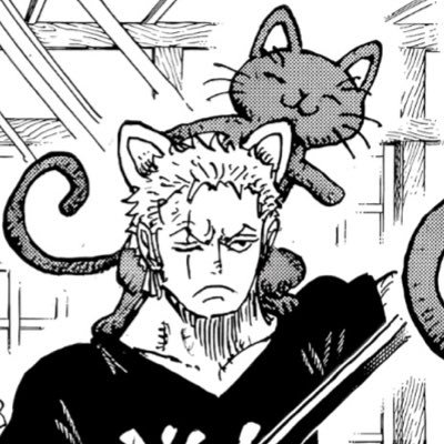 daily zoro's profile picture