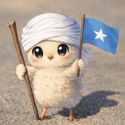 KarenOfSomalia's profile picture