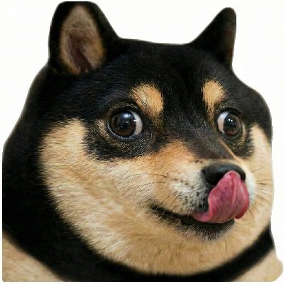 Doge Tipping's profile picture