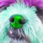 a's profile picture