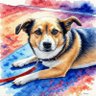 おみさん's profile picture