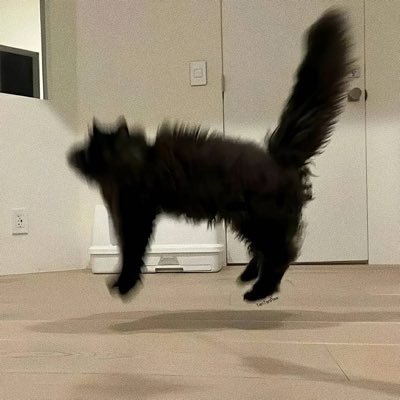 洋柿子大王's profile picture