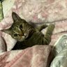 ゆっぴ 的头像